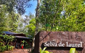 Selva de Laurel